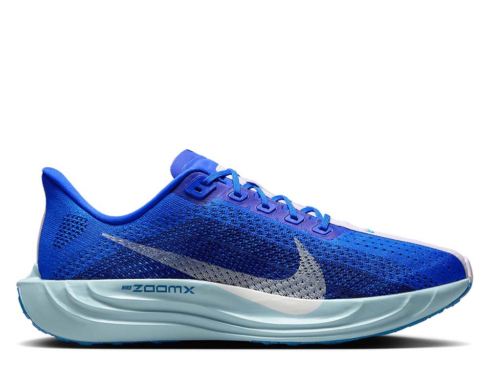 Buty Nike Pegasus Plus M Niebiesko-Pudrowe