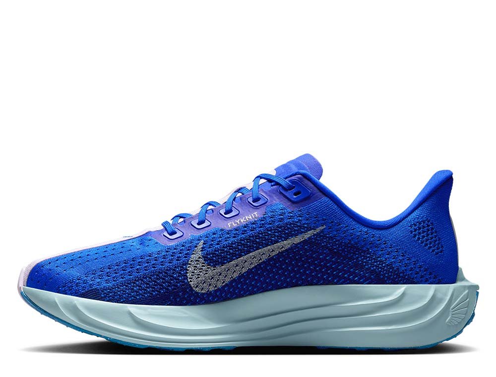 Buty Nike Pegasus Plus M Niebiesko-Pudrowe