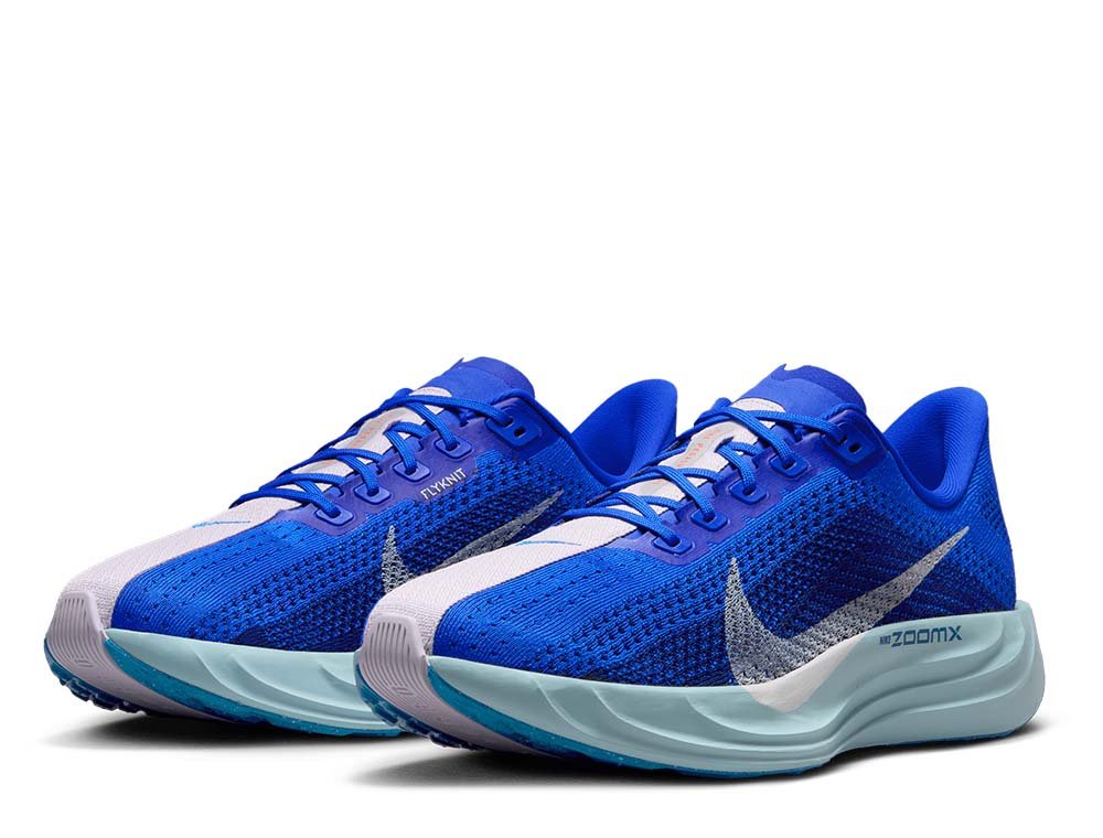Buty Nike Pegasus Plus M Niebiesko-Pudrowe