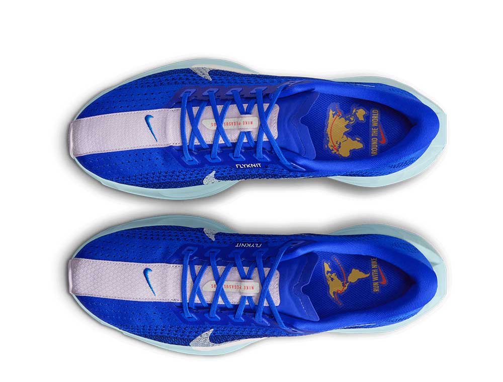 Buty Nike Pegasus Plus M Niebiesko-Pudrowe