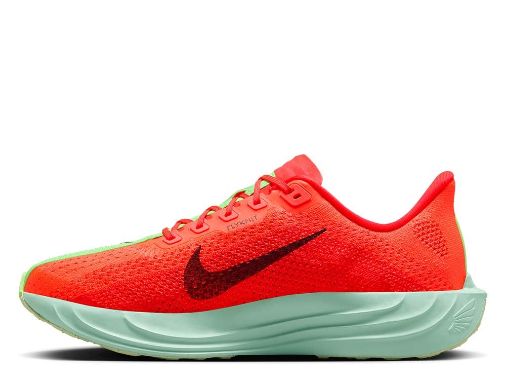 Buty Nike Pegasus Plus M Czerwono-Zielone