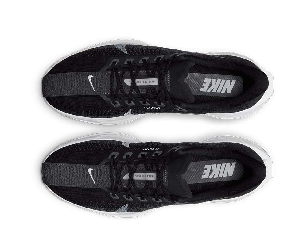 Buty Nike Pegasus Plus M Czarno-Szare