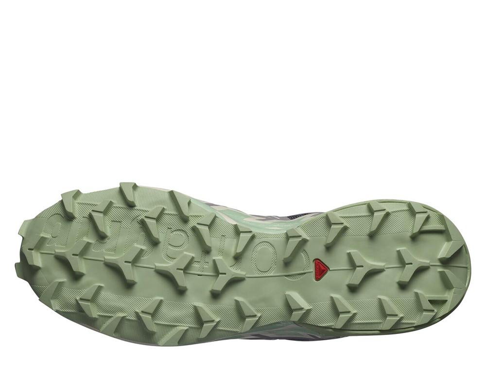 Buty Salomon Speedcross 6 W Szaro-Zielone