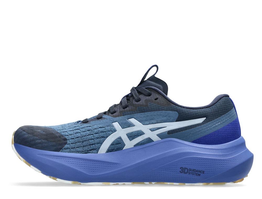 Asics GT-2000 14 Lite-Show W Granatowo-Fioletowe