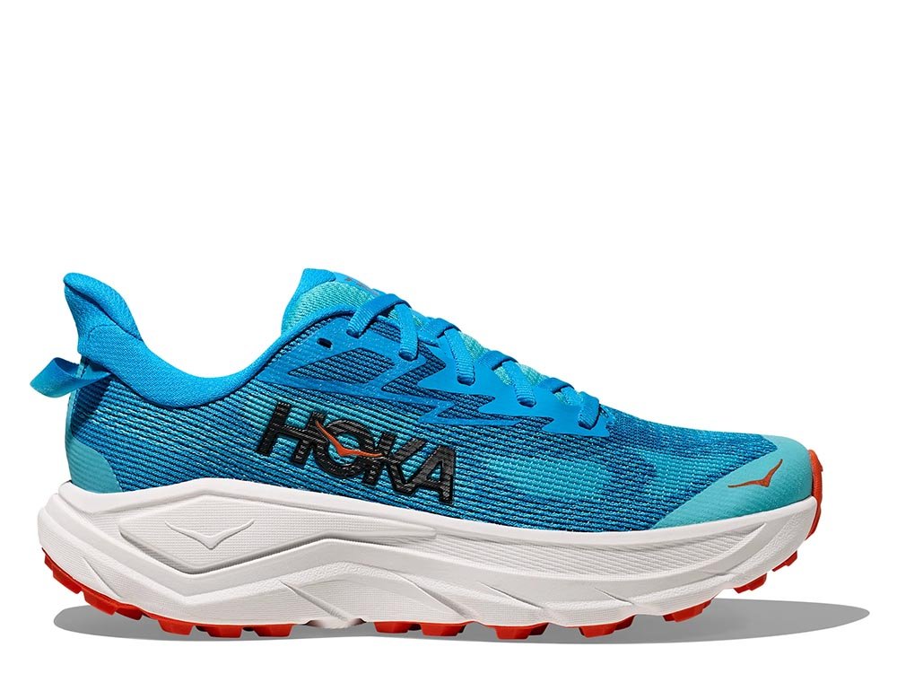 CHALLENGER BOOK α2 ECC 2273998166.jpg?1716696295