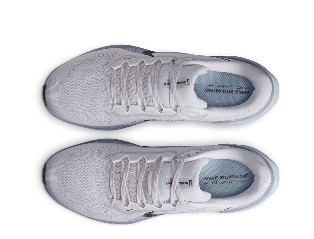 Buty Nike Pegasus 41 M Biało-Niebieskie