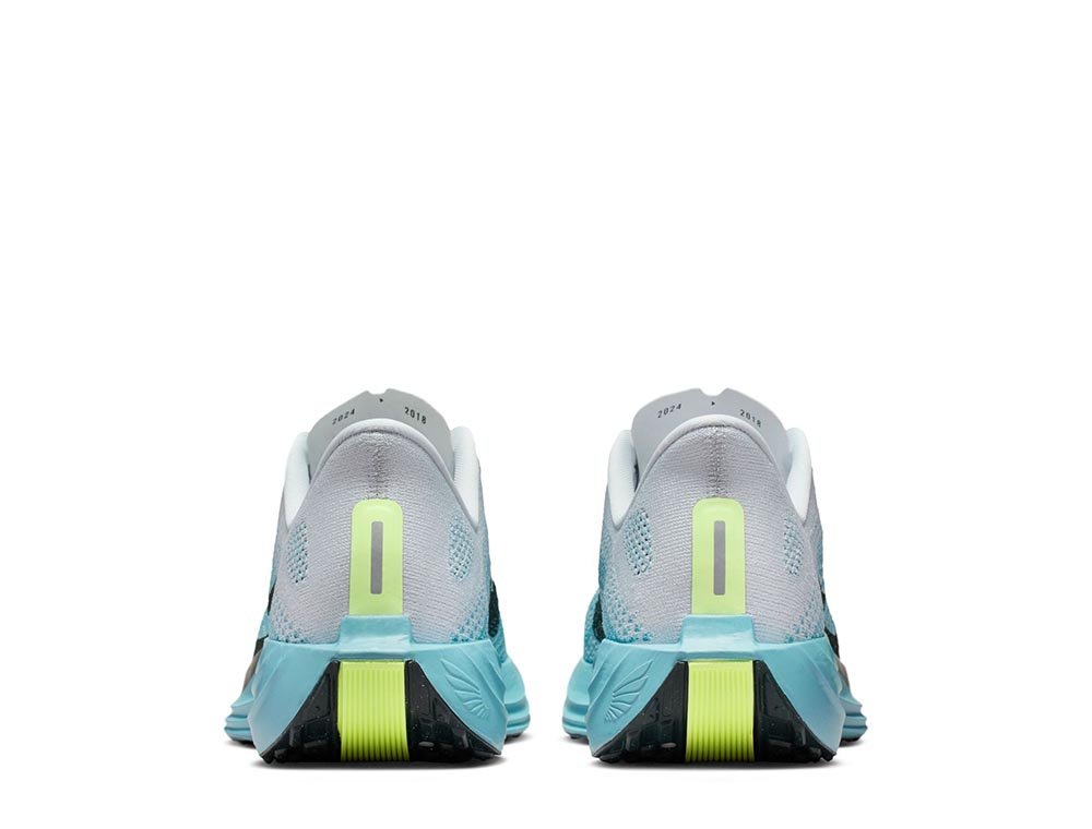 Buty Nike Pegasus Plus M Biało-Niebieskie