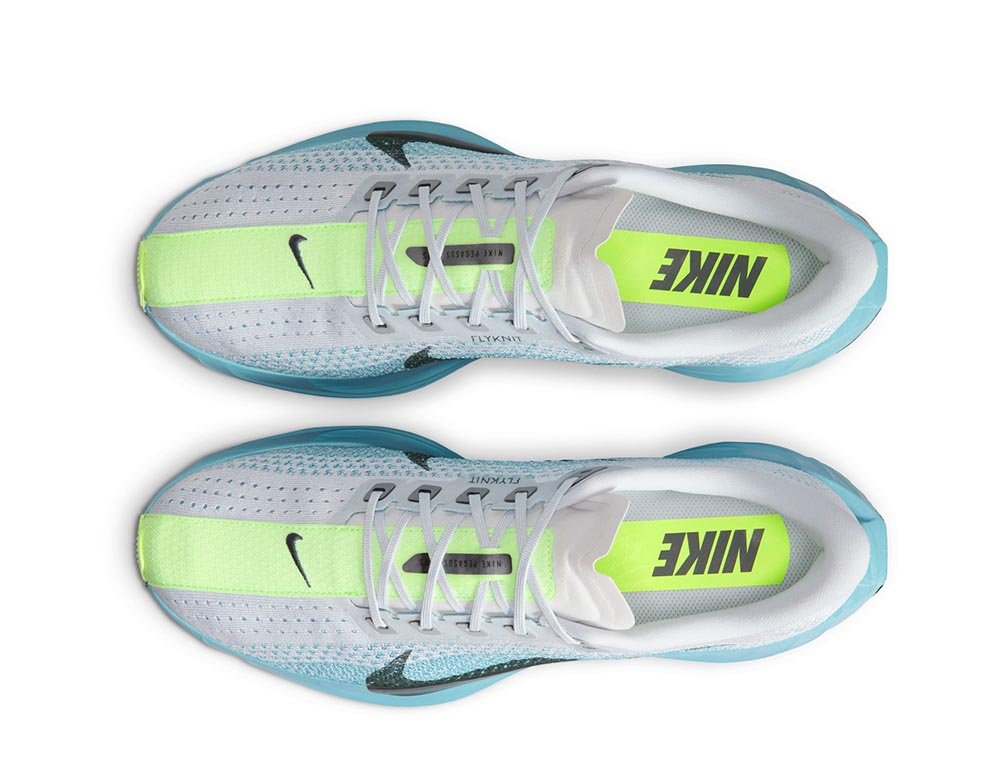 Buty Nike Pegasus Plus M Biało-Niebieskie