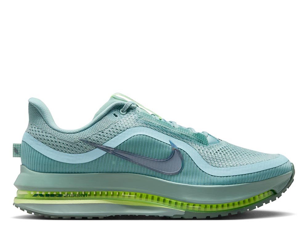 Buty Nike Pegasus Premium M Niebiesko-Zielone