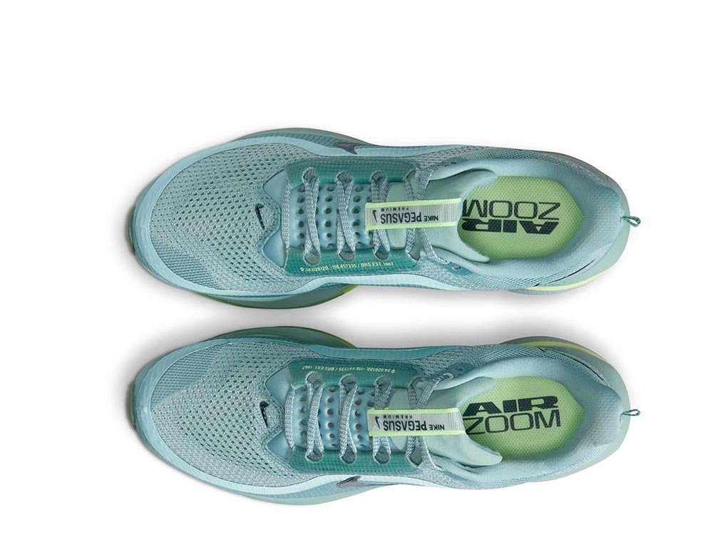 Buty Nike Pegasus Premium M Niebiesko-Zielone