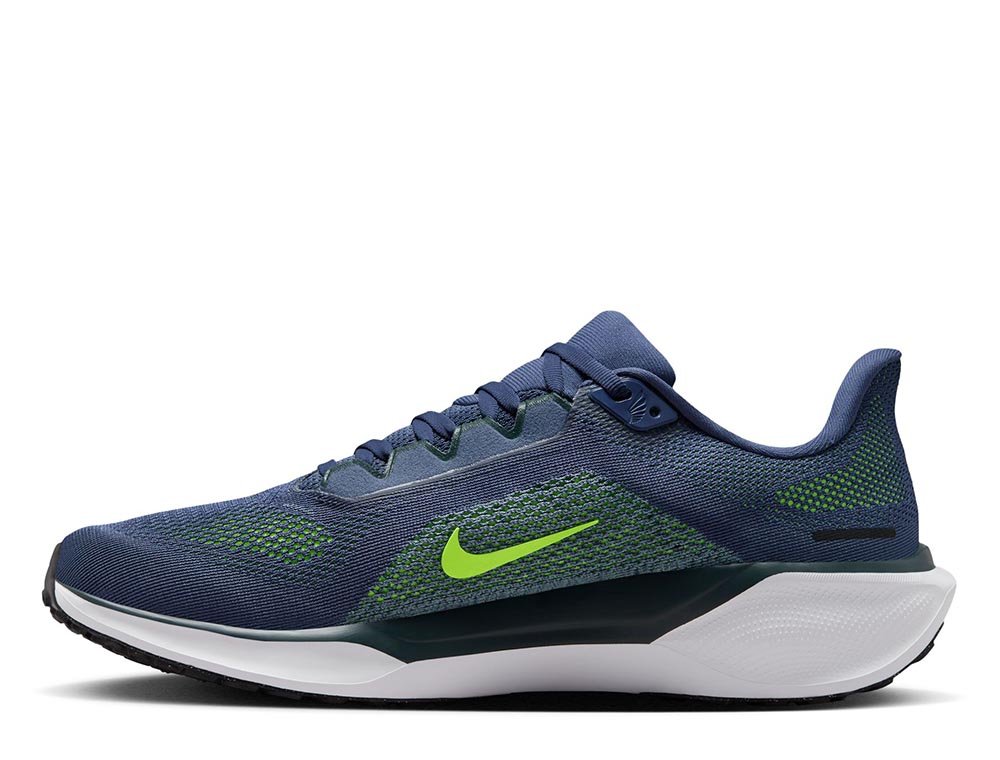 Buty Nike Pegasus 41 M Niebiesko-Zielone