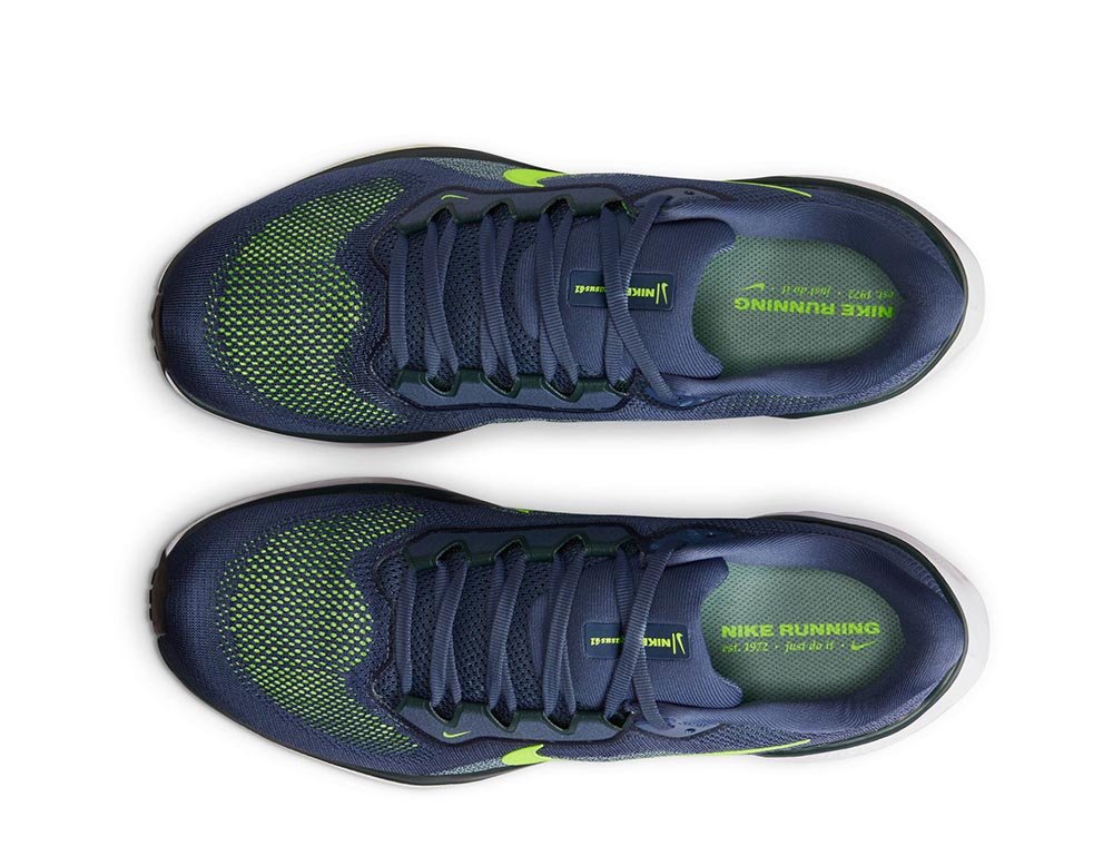 Buty Nike Pegasus 41 M Niebiesko-Zielone