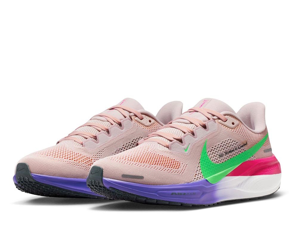 Buty Nike Pegasus 41 Eliud Kipchoge W Multikolor