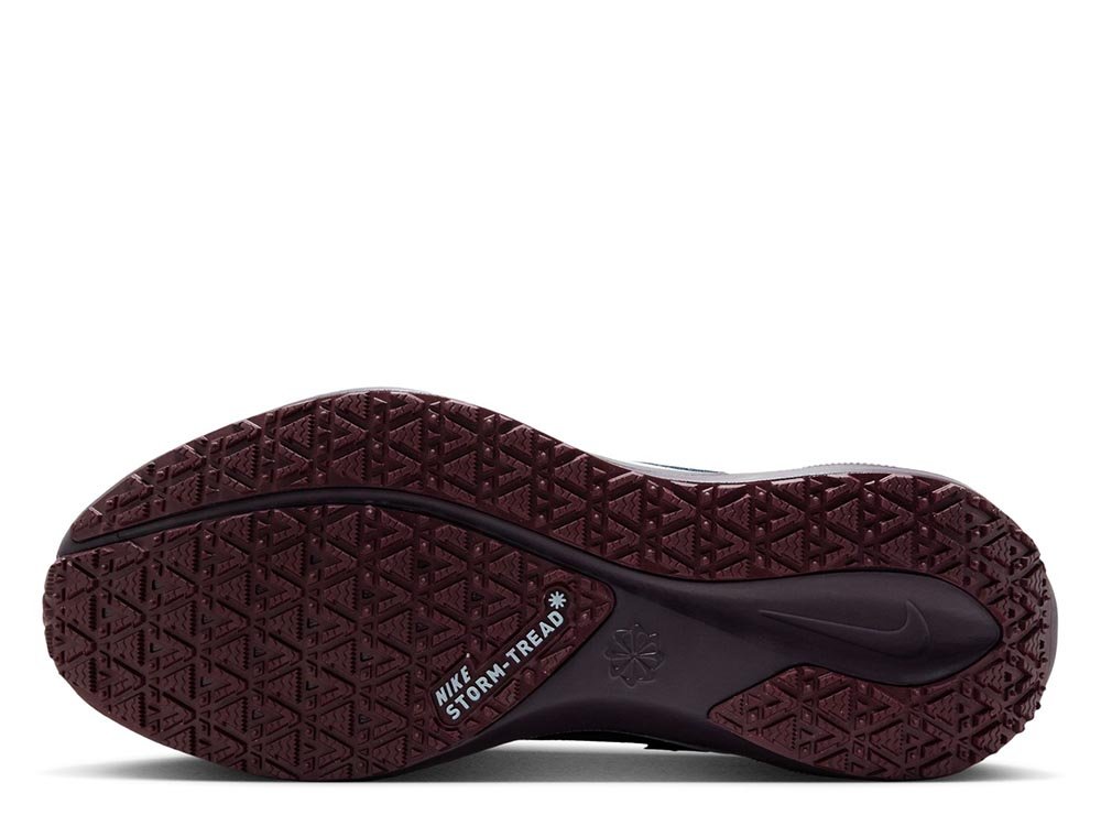 Buty Nike Pegasus 41 Gore-TEX W Granatowo-Białe