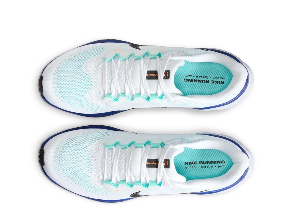 Buty Nike Pegasus 41 M Biało-Niebieskie