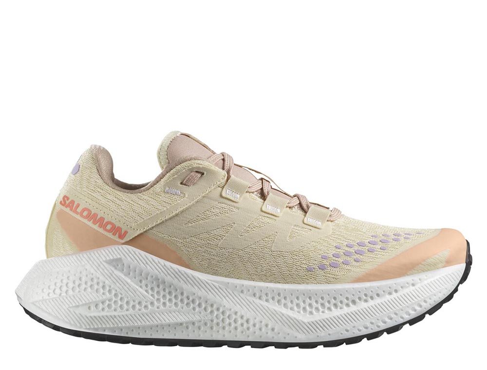 Buty Salomon Aero Glide 3 GRVL W Beżowo-Zielone