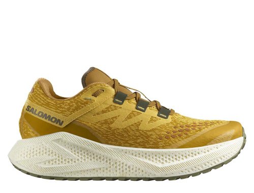ウォーキング・ランニングウェア SALOMON AERO GLIDE3W buty-salomon-aero-glide-3-grvl