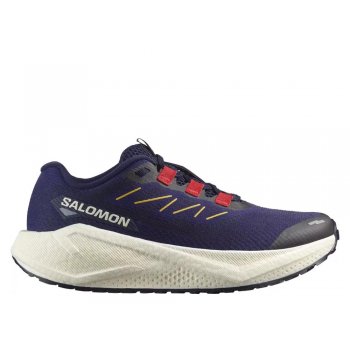buty salomon aero blaze 3 grvl m grantowo-fioletowe