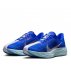 Buty Nike Pegasus Plus M Niebiesko-Pudrowe